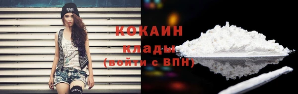 дживик Белоозёрский