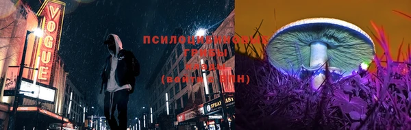 дживик Белоозёрский