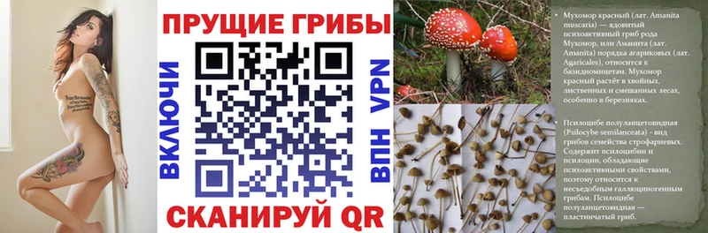 Галлюциногенные грибы Psilocybe  сколько стоит  hydra ссылки  Горячеводский 